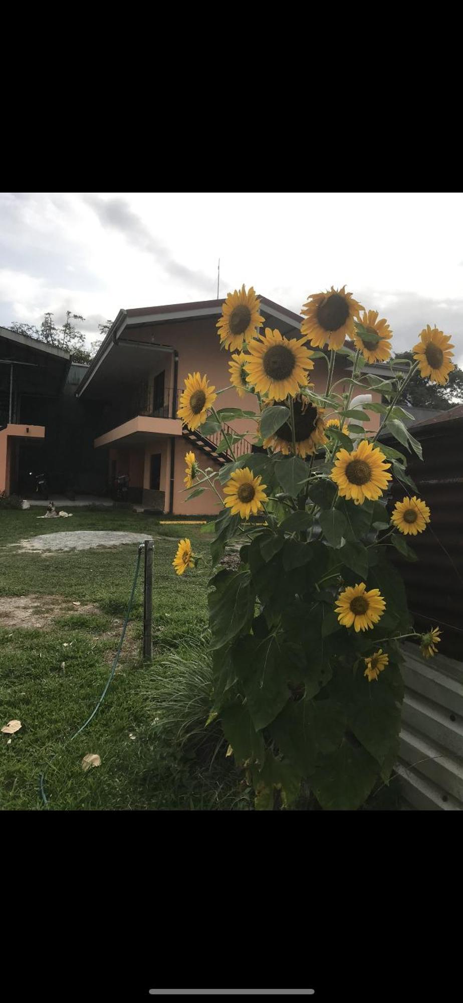 Sky Hostel La Fortuna 외부 사진